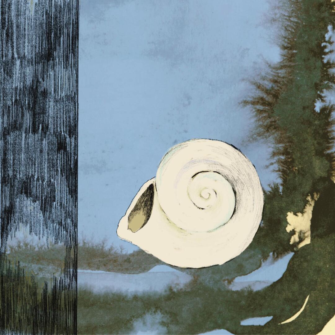 Som en snacka coverart
