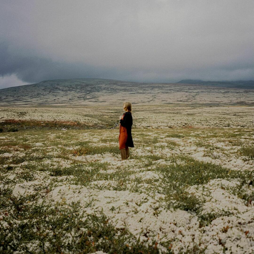 Juni Habel Evergreen In Your Mindsingle ART